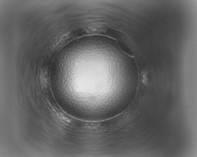 X0000077280915200610271454