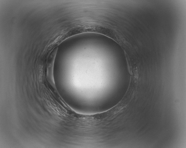 X0000077280916200610271454