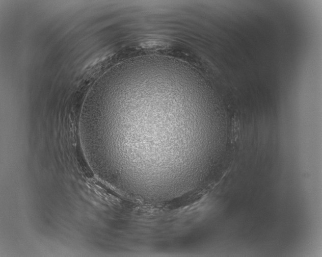 X0000077280917200610271454