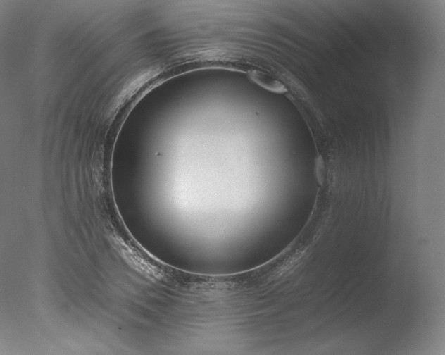 X0000077280930200610271455