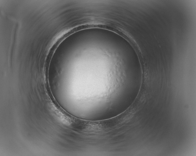 X0000077280935200610271455