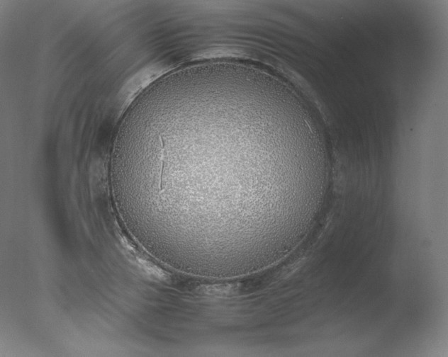 X0000077280937200610271455