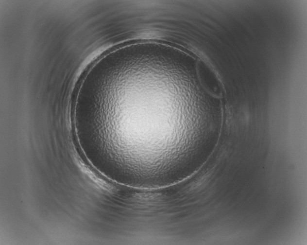 X0000077280939200610271455