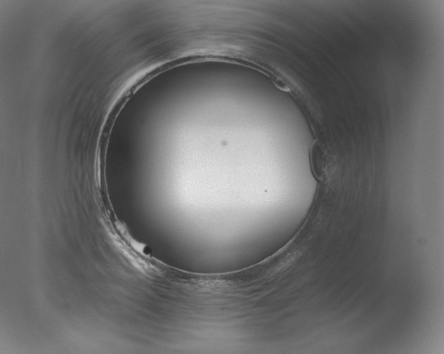 X0000077280940200610271455