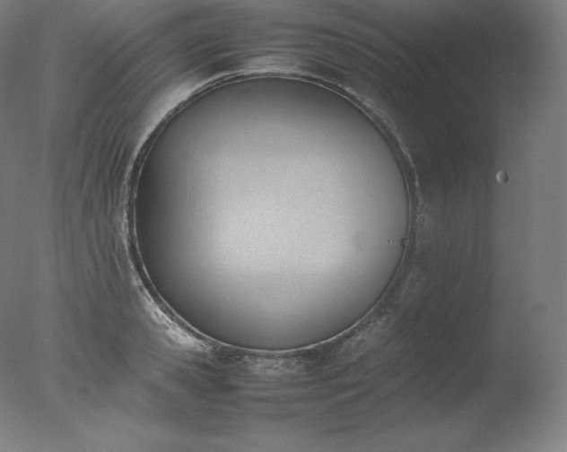 X0000077280941200610271455