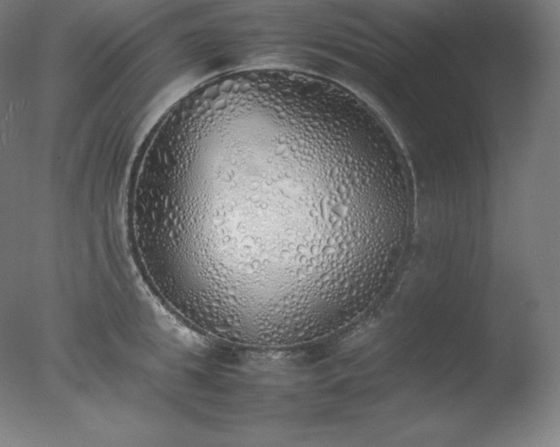 X0000077280949200610271455