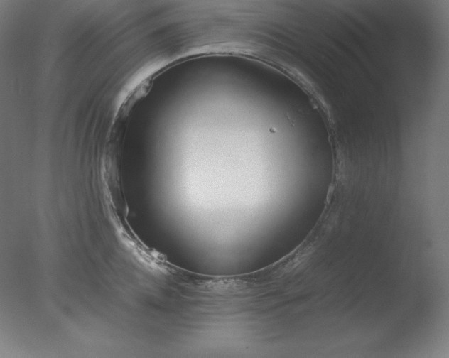 X0000077280952200610271455