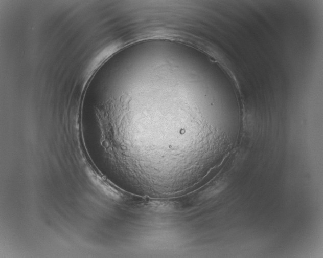 X0000077280954200610271455