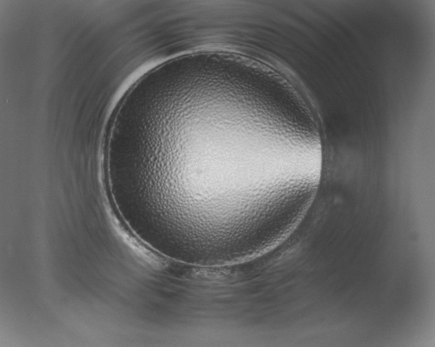 X0000077280955200610271455