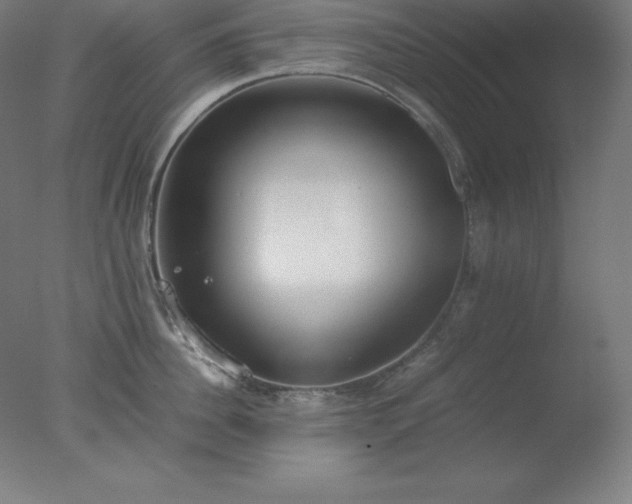 X0000077280956200610271455