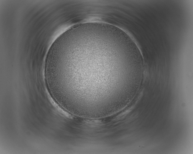 X0000077280957200610271455