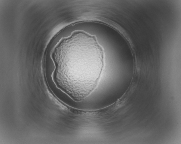 X0000077280958200610271455