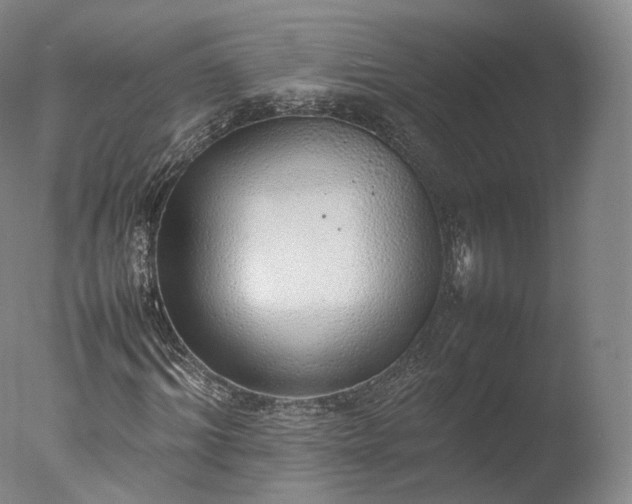 X0000077280964200610271454