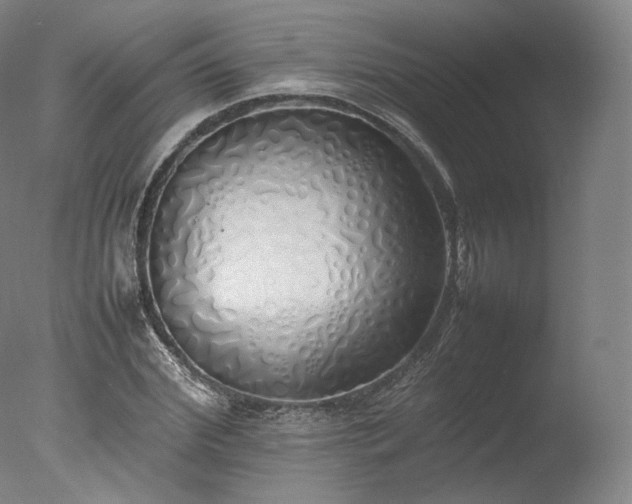 X0000077280972200610271454