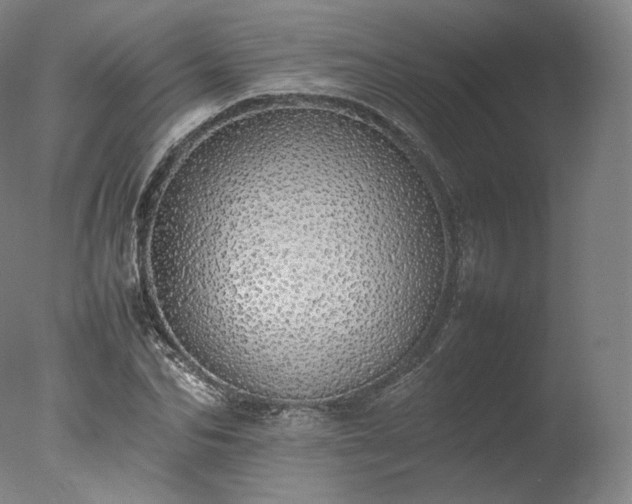 X0000077280974200610271454