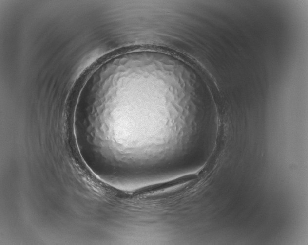 X0000077280975200610271454