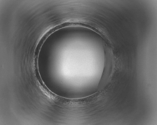 X0000077280976200610271454