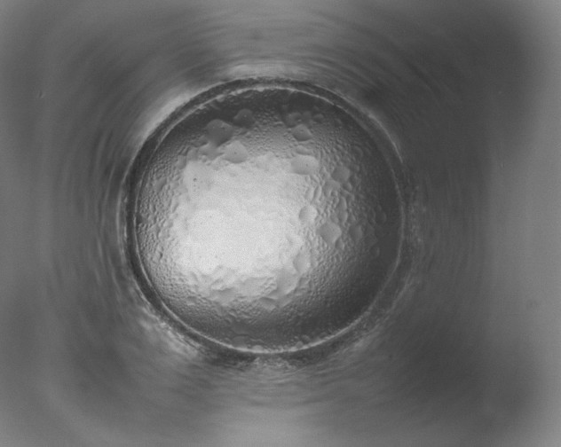 X0000077280983200610271454