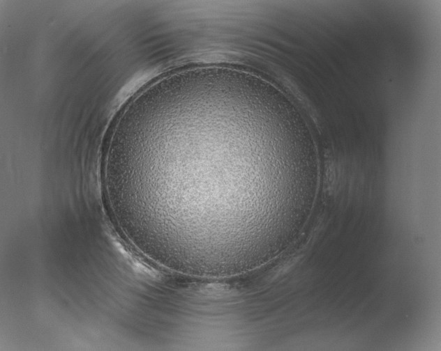 X0000077280986200610271454