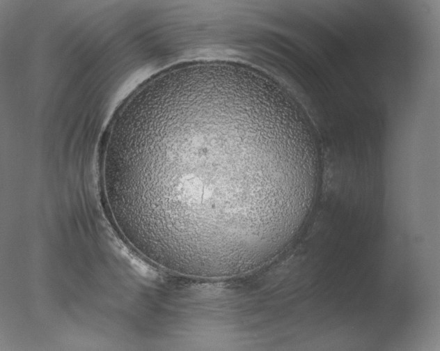 X0000077280990200610271454