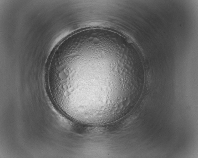 X0000077280991200610271454