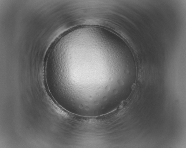 X0000077280992200610271454