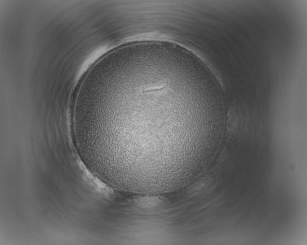X0000077280998200610271454