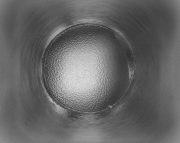 X0000077280999200610271454