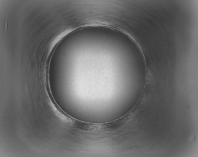 X0000077281003200610271454