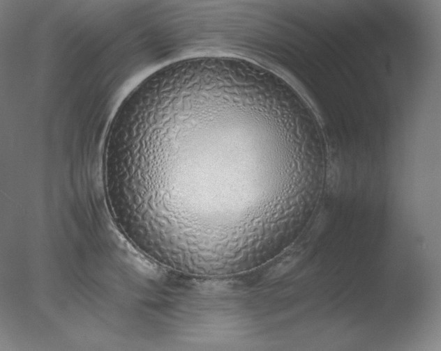 X0000077281004200610271454