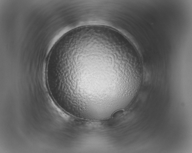 X0000077281006200610271454