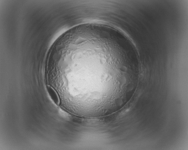 X0000077281007200610271454