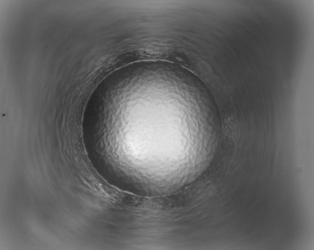 X0000077281009200610271453