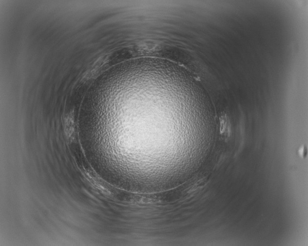 X0000077281011200610271453