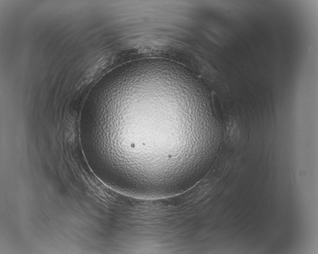 X0000077281012200610271453