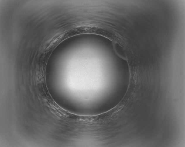 X0000077281014200610271453
