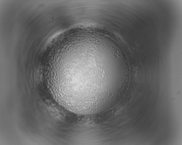 X0000077281016200610271453