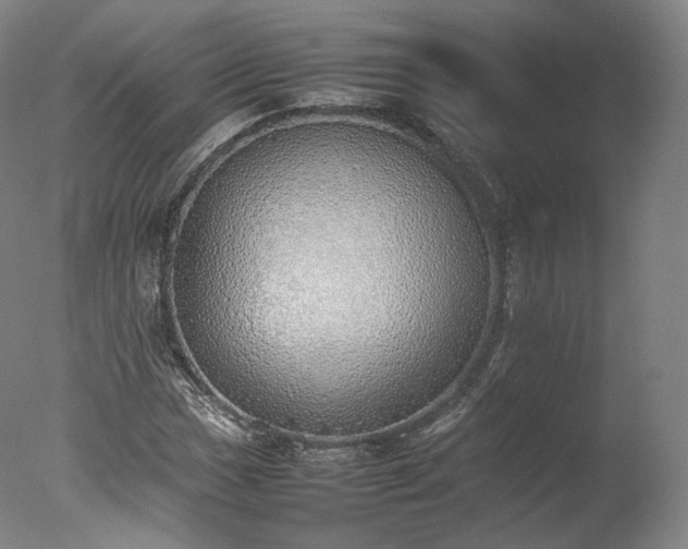 X0000077281017200610271453