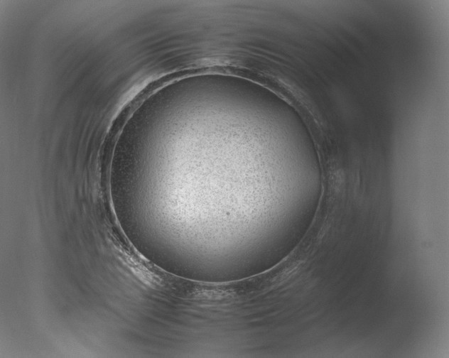 X0000077281023200610271453
