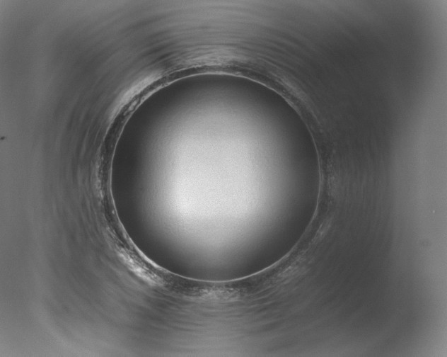X0000077281026200610271453