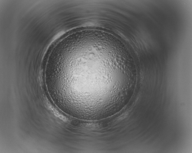 X0000077281029200610271453