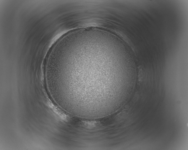 X0000077281031200610271453