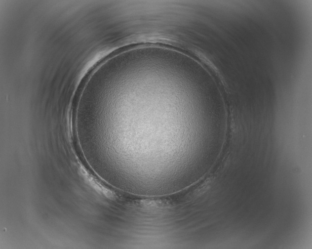 X0000077281032200610271453
