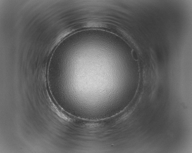 X0000077281033200610271453
