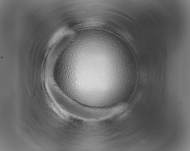 X0000077281034200610271453