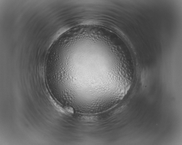 X0000077281041200610271453