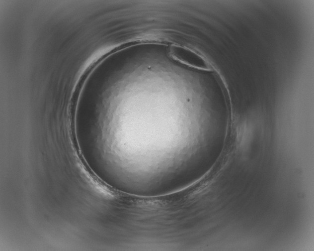 X0000077281045200610271453