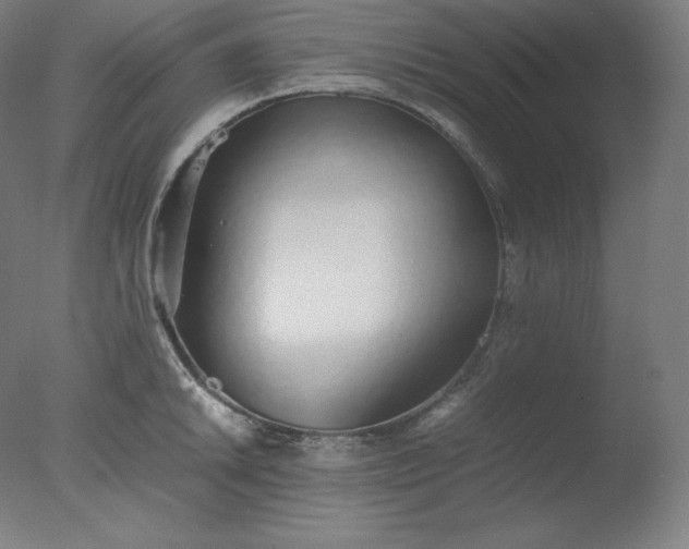 X0000077281046200610271453