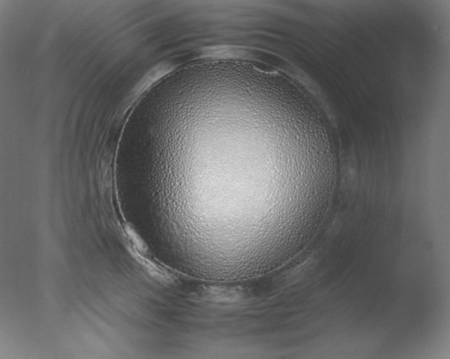 X0000077281049200610271453