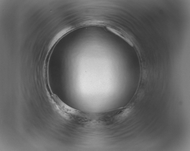 X0000077281050200610271453